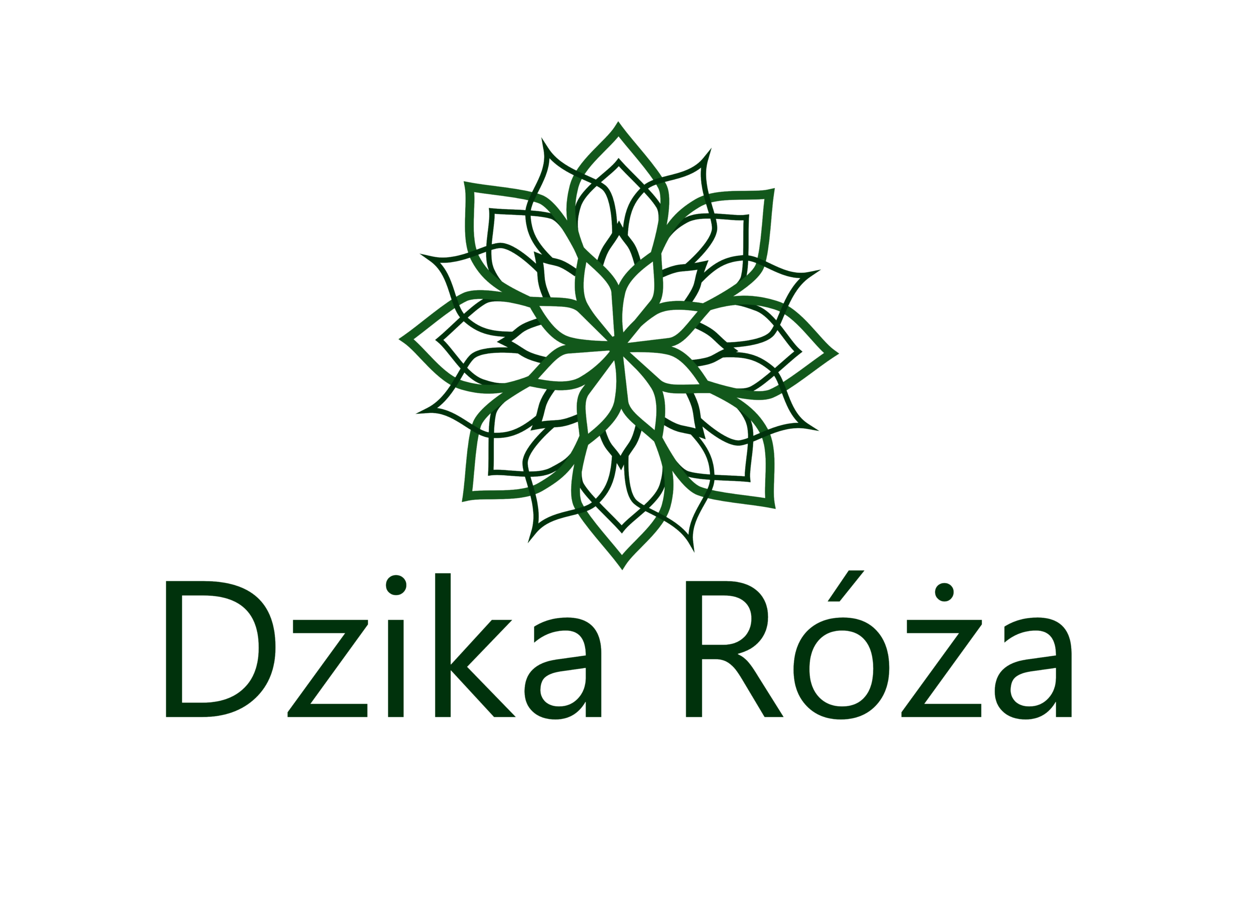 Dzika Róża – kompleksowa opieka nad ogrodem